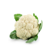 Cauliflower vegetable 1